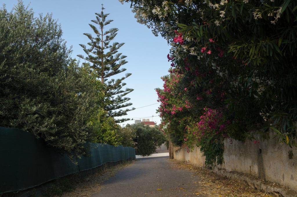 Iokasti Homes Κάτω Γαλατάς Εξωτερικό φωτογραφία